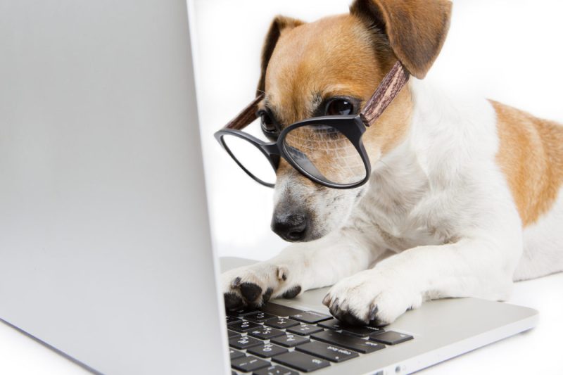 6 perguntas feitas para recrutadores sobre a cultura da empresa