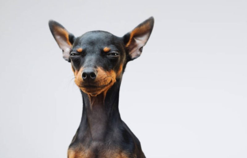 Como trabalhar com pessoas que criam conflitos?